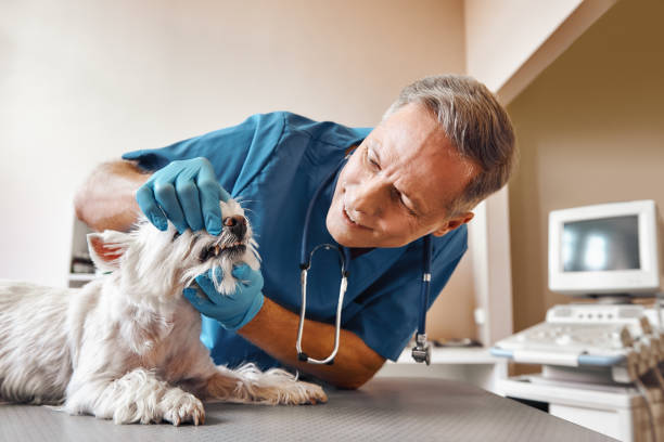 Best Emergency Tooth Extraction in Eastwood, LA